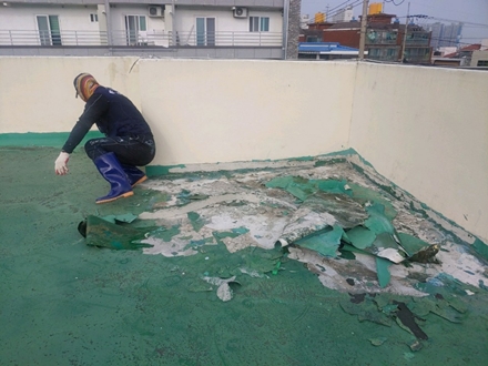 대전페인트방수공사 PC 이미지 5452465