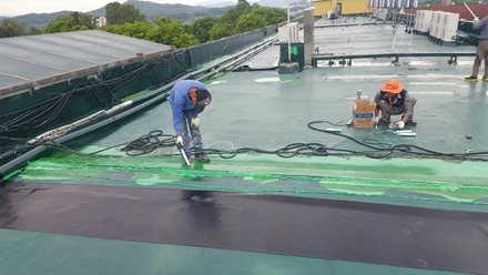 대전페인트방수공사 PC 이미지 5452462